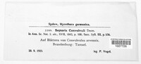 Image Associated With the Occurence